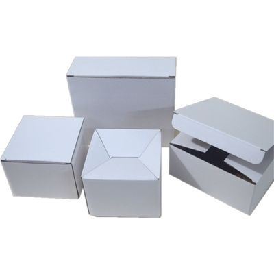 White Paper Folding Shipping Box